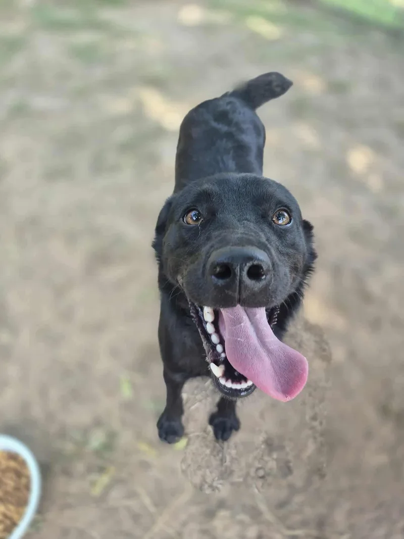 Lover Boy thumbnail 6