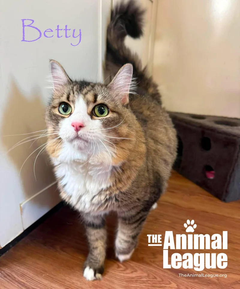 Betty thumbnail 2