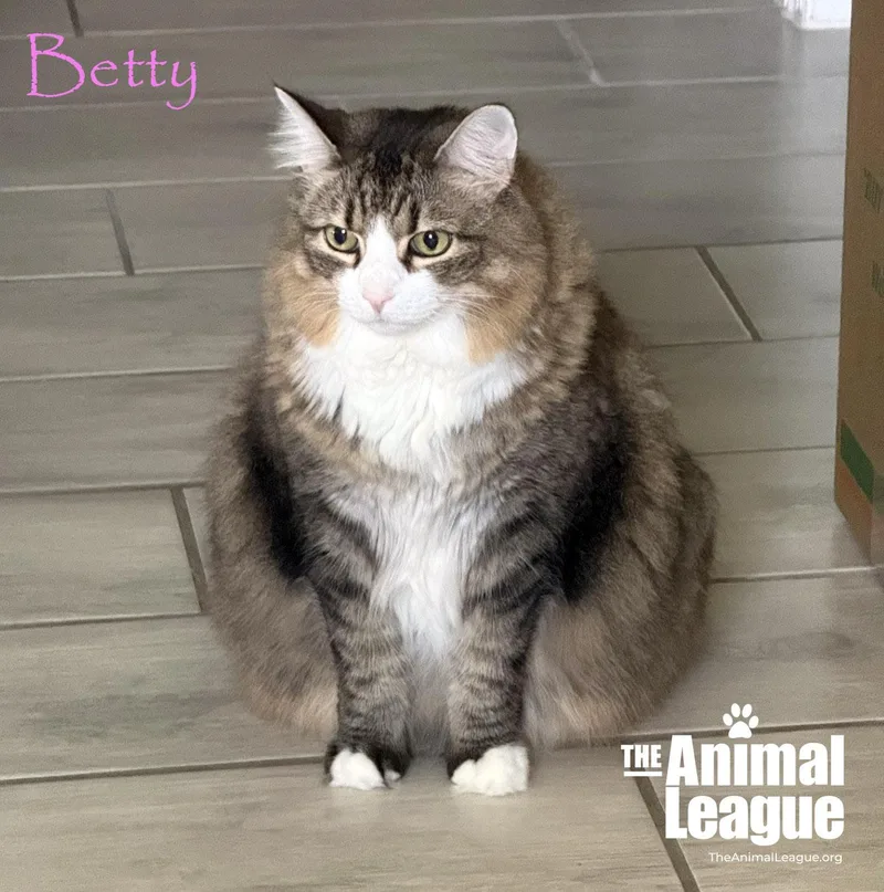 Betty thumbnail 4