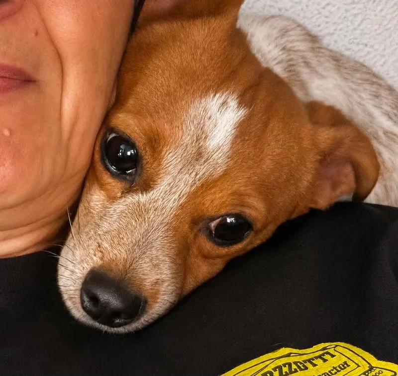 Eddie thumbnail 2