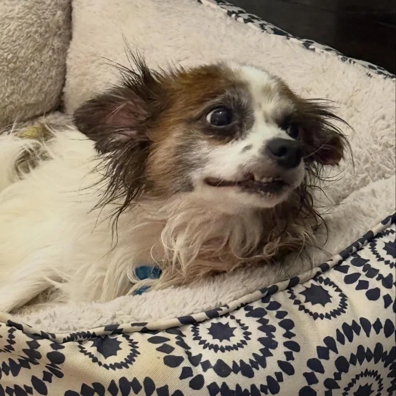 Einstein thumbnail 3