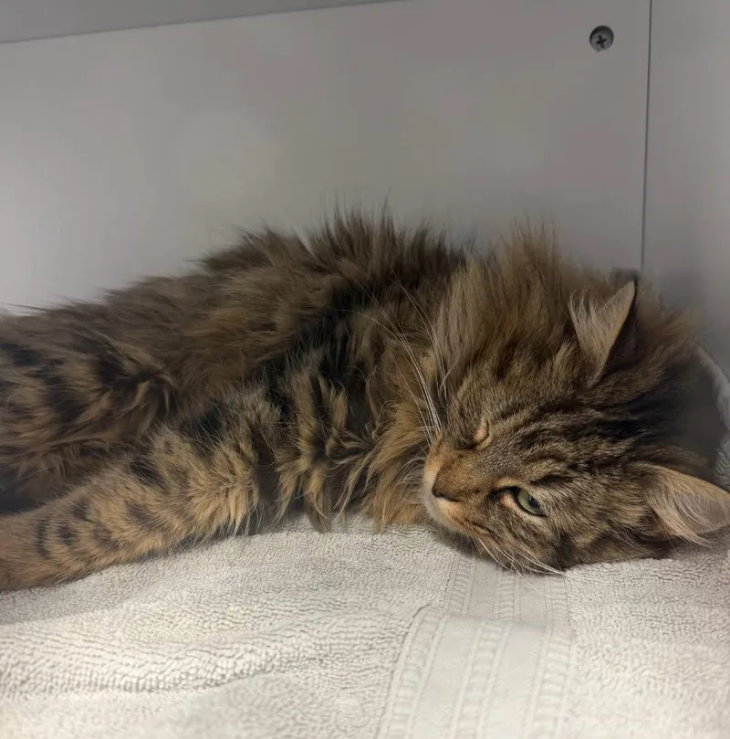 Rainbow Yarn thumbnail 2