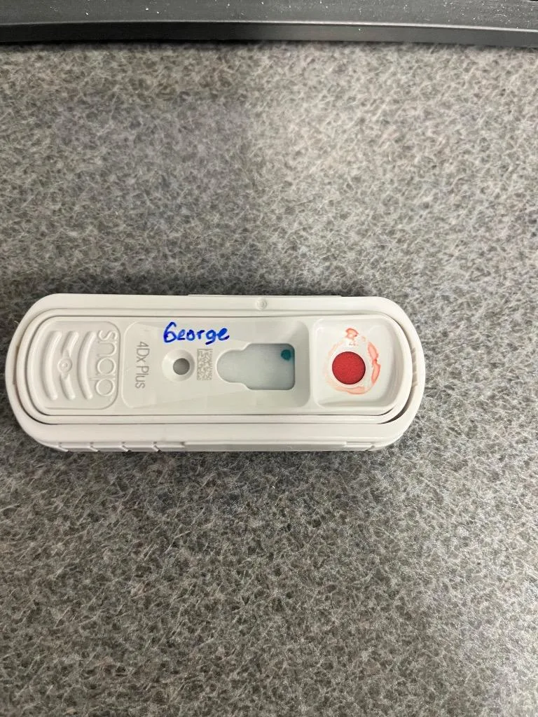 George thumbnail 2
