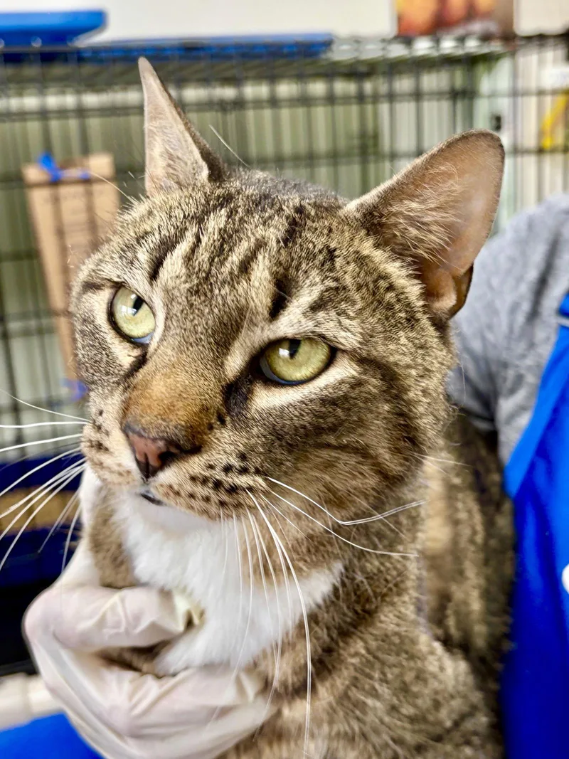 Teddywillow Grove thumbnail 2