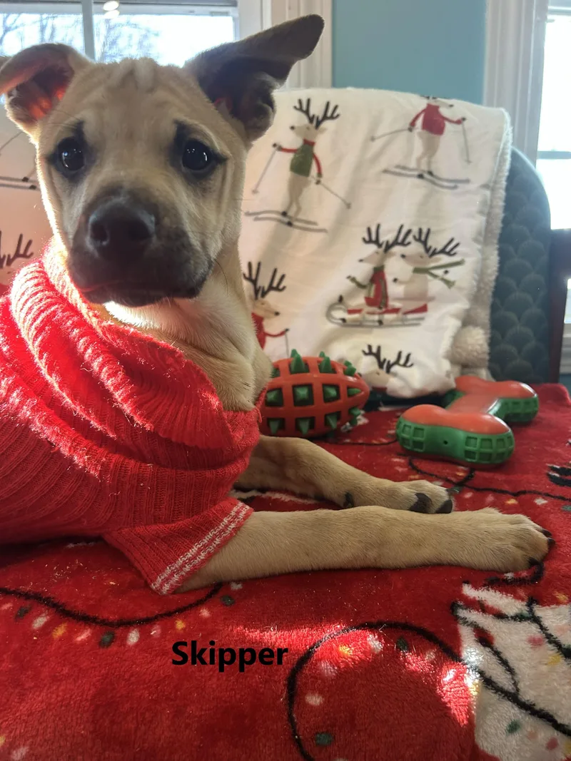 The Sea Mates!!! Bimmy