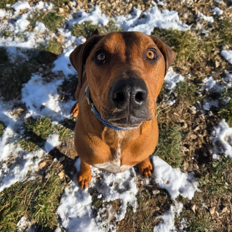 Beefcake "beefy" Mcgee thumbnail 3