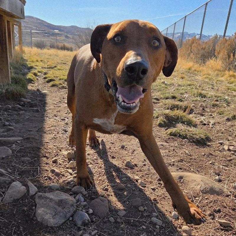 Beefcake "beefy" Mcgee thumbnail 4