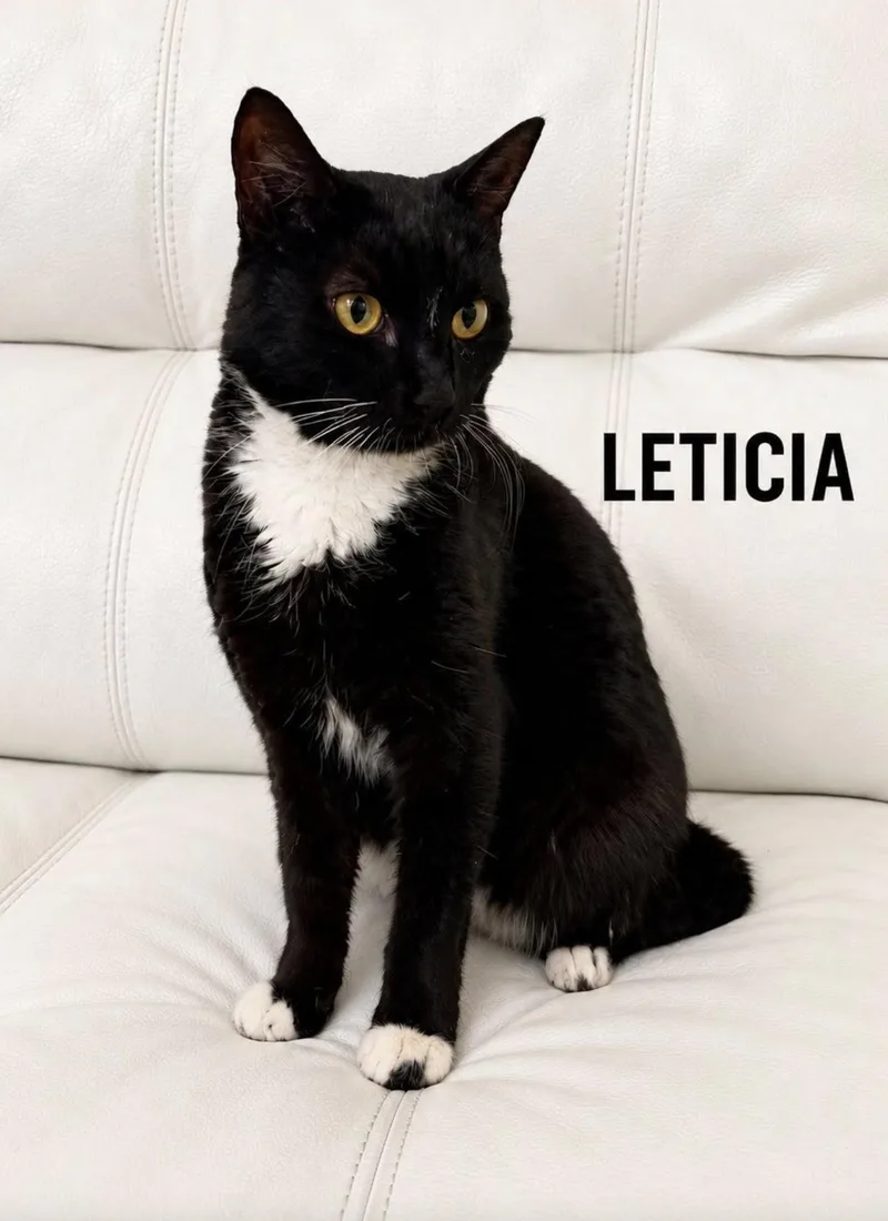 Leticia thumbnail 4