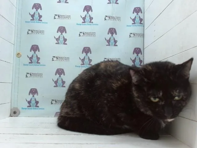 Matilda