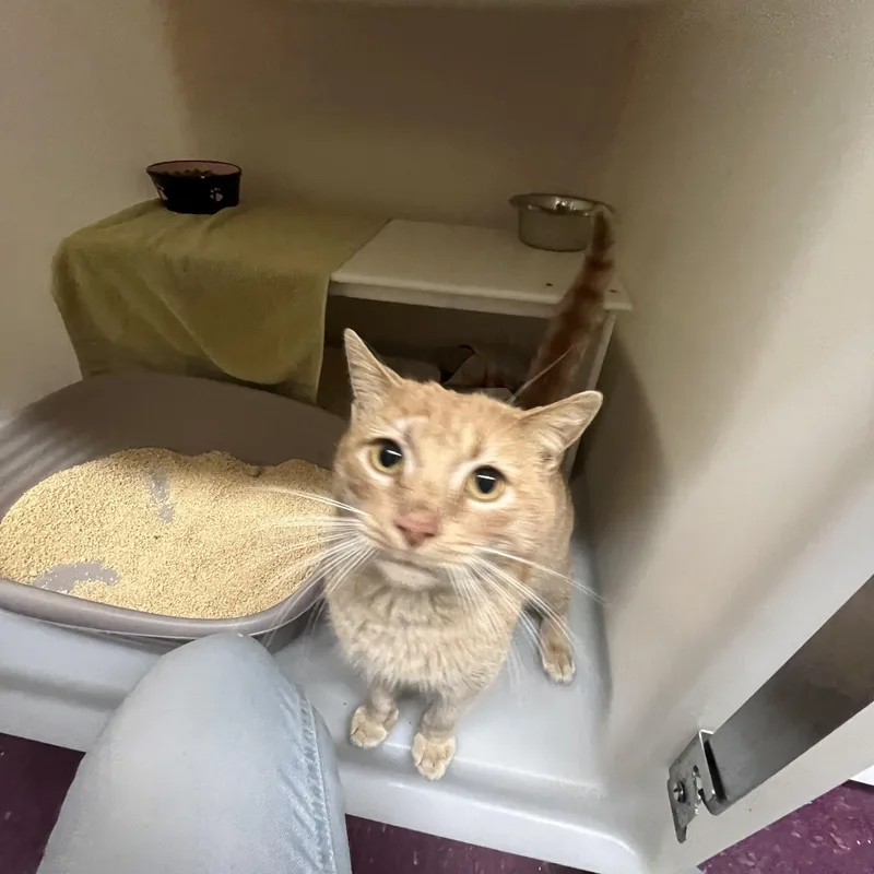 Orange Theory thumbnail 2