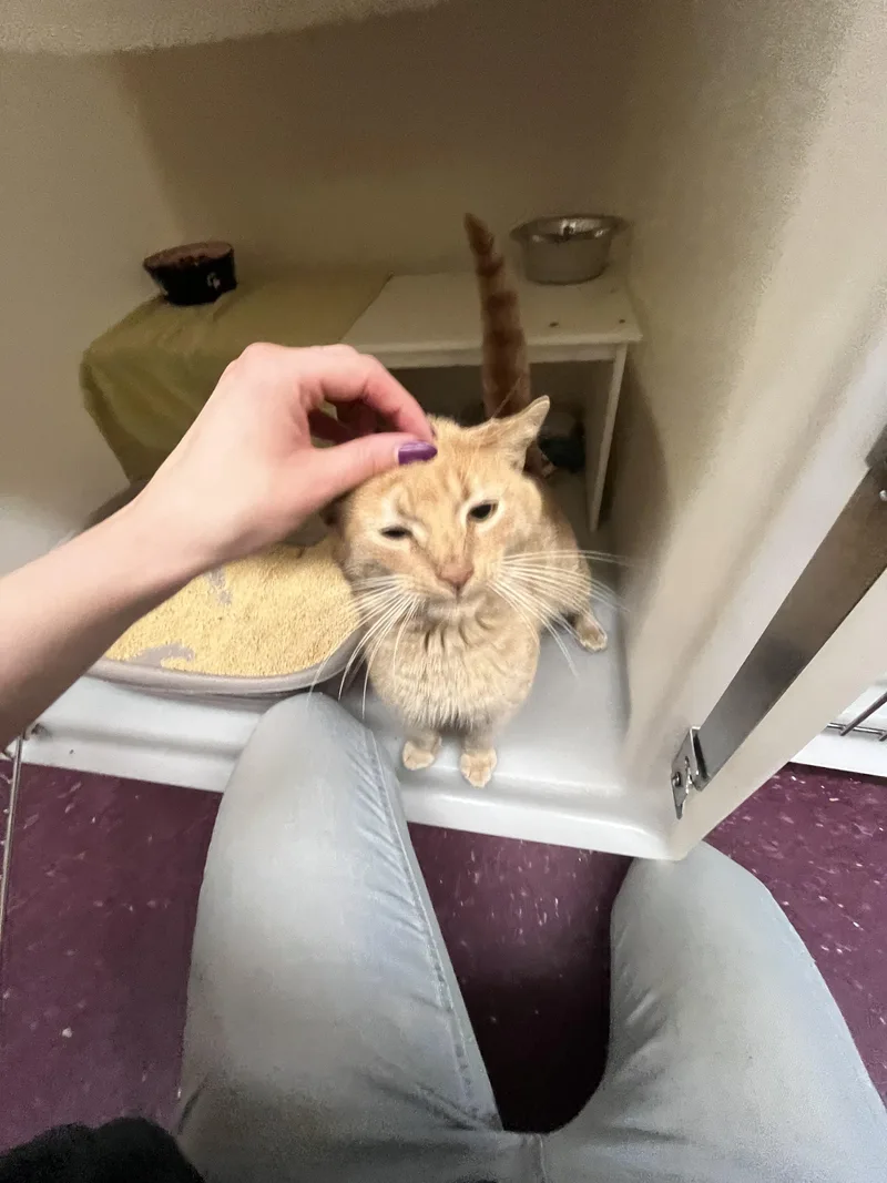 Orange Theory thumbnail 3