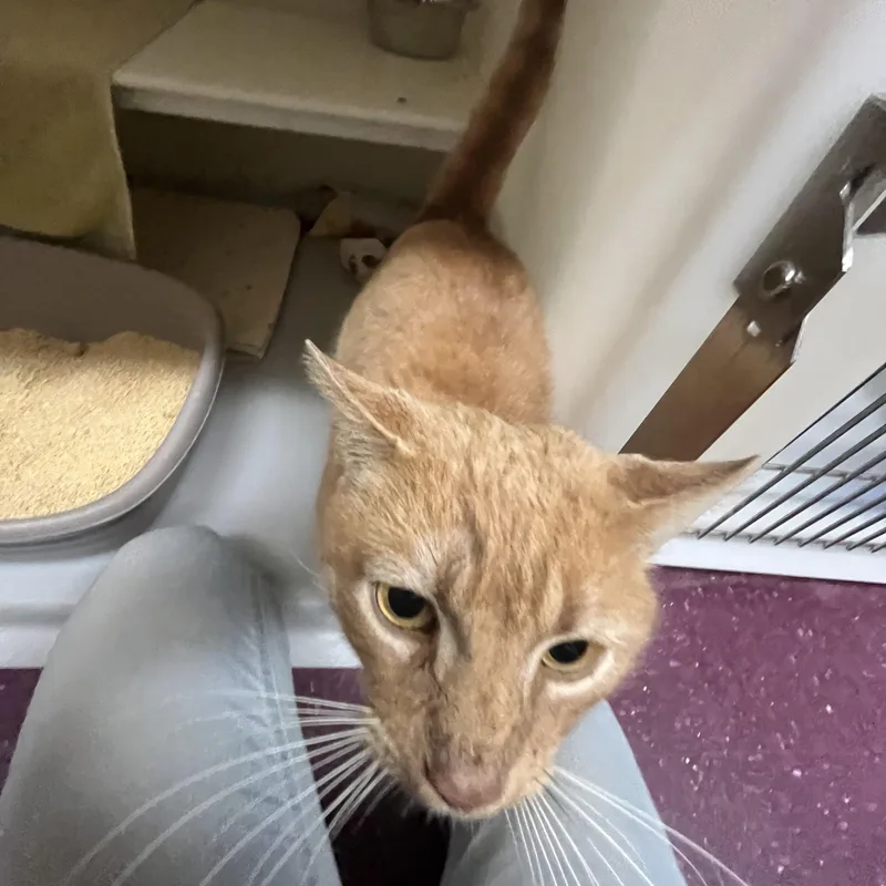 Orange Theory thumbnail 4