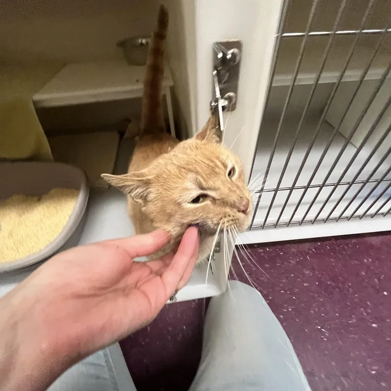 Orange Theory thumbnail 5