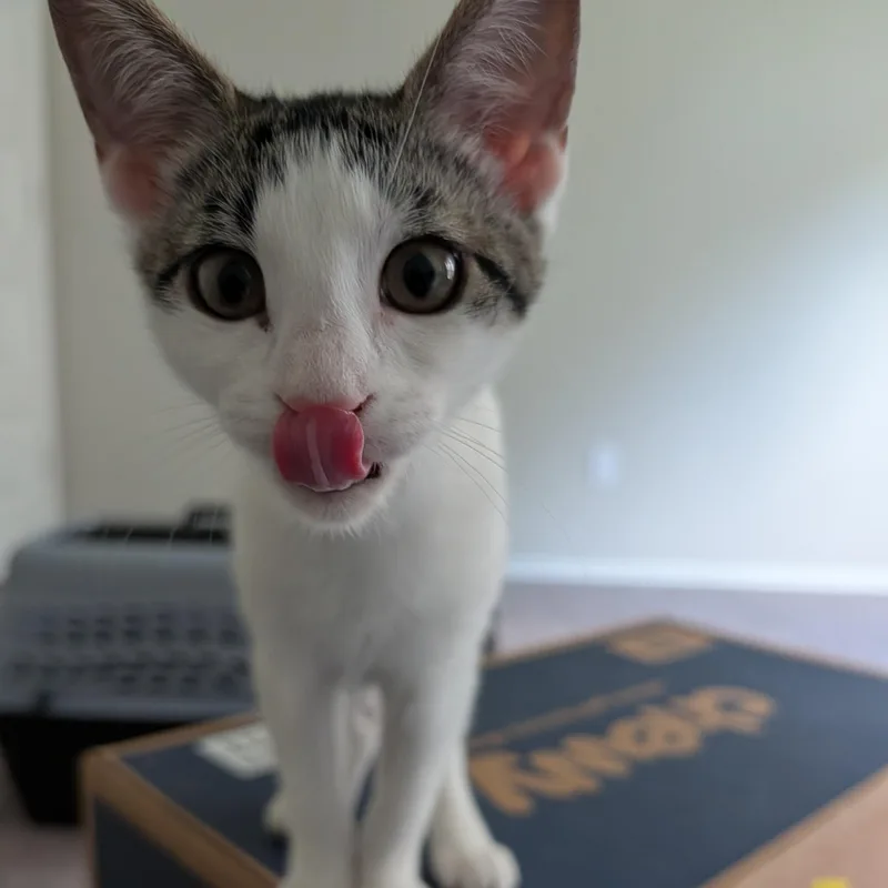 Baby Mia thumbnail 4