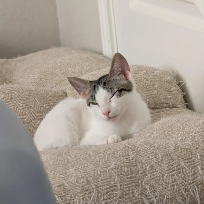 Baby Mia thumbnail 6