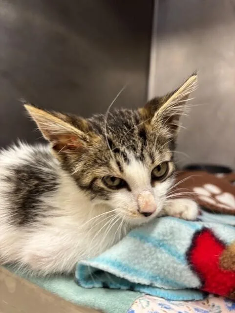 Sunshine thumbnail 2