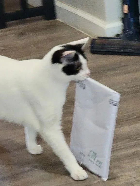 Myrtle Napa Hm thumbnail 2