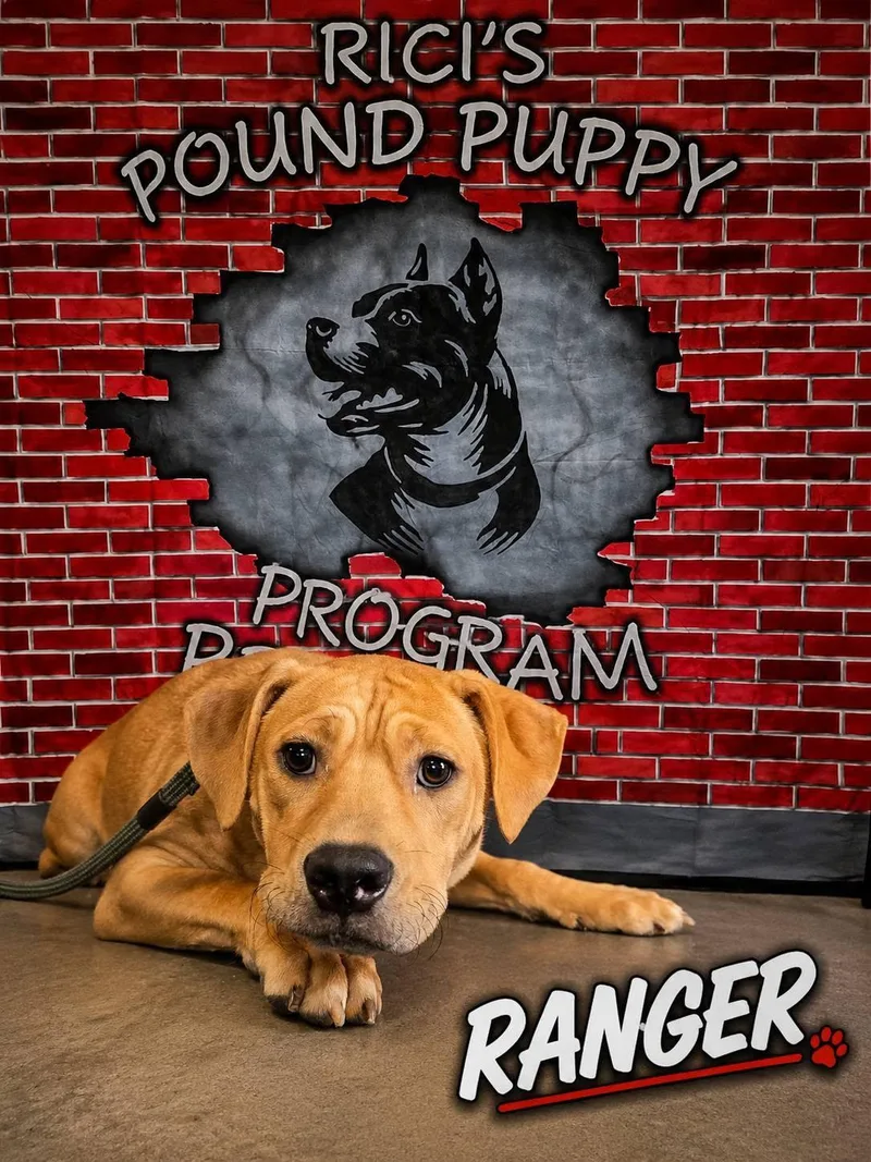 Ranger