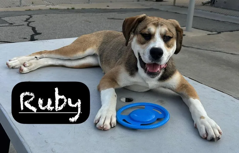 Ruby thumbnail 3