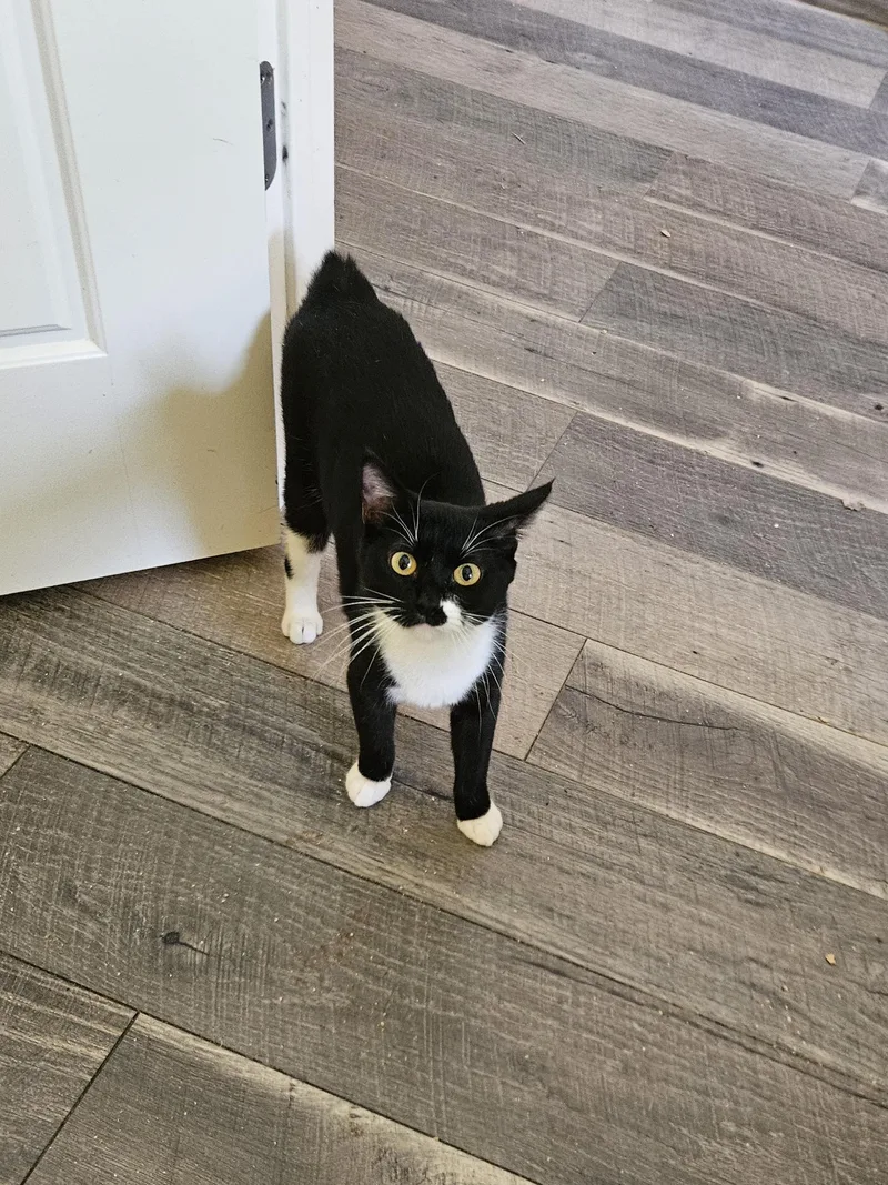 Nicki thumbnail 2