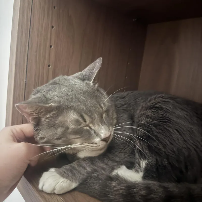 Popeye's thumbnail 5