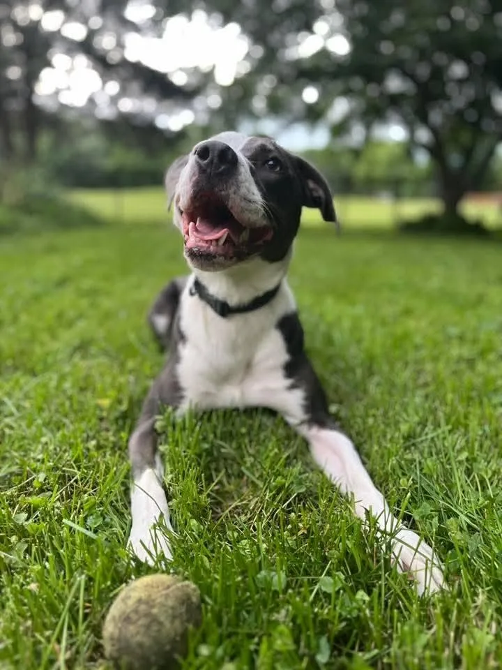 Magdalene thumbnail 3