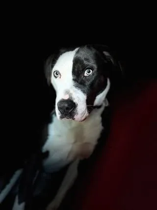 Magdalene thumbnail 4