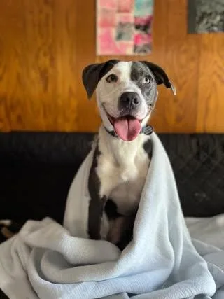 Magdalene thumbnail 5