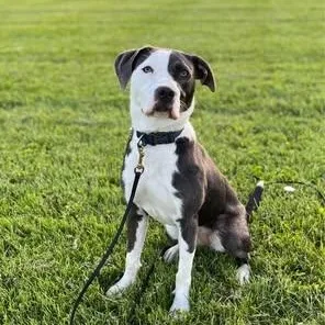 Magdalene thumbnail 6