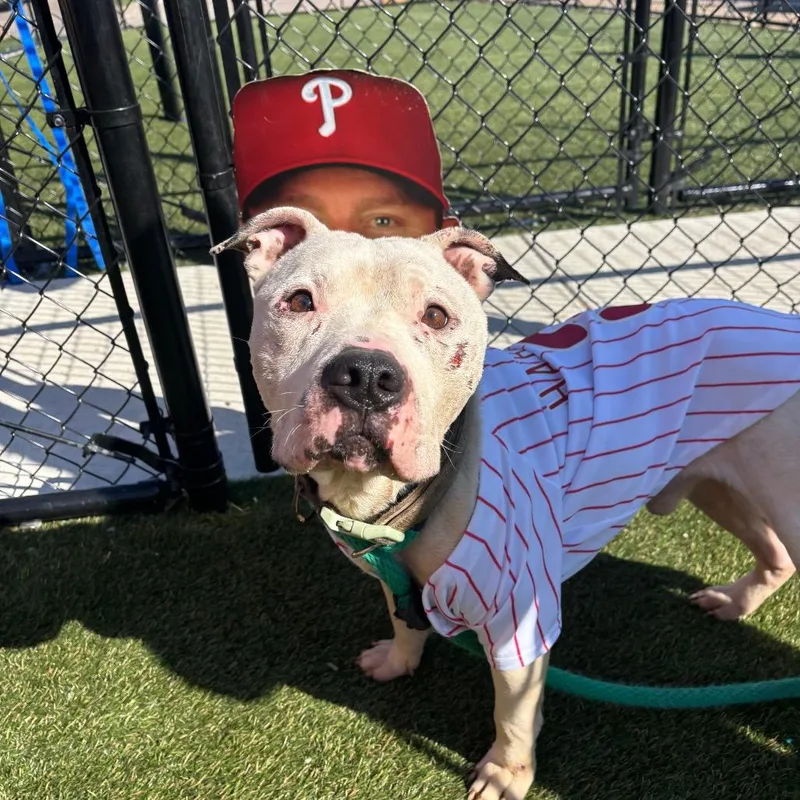 Schwarber thumbnail 4