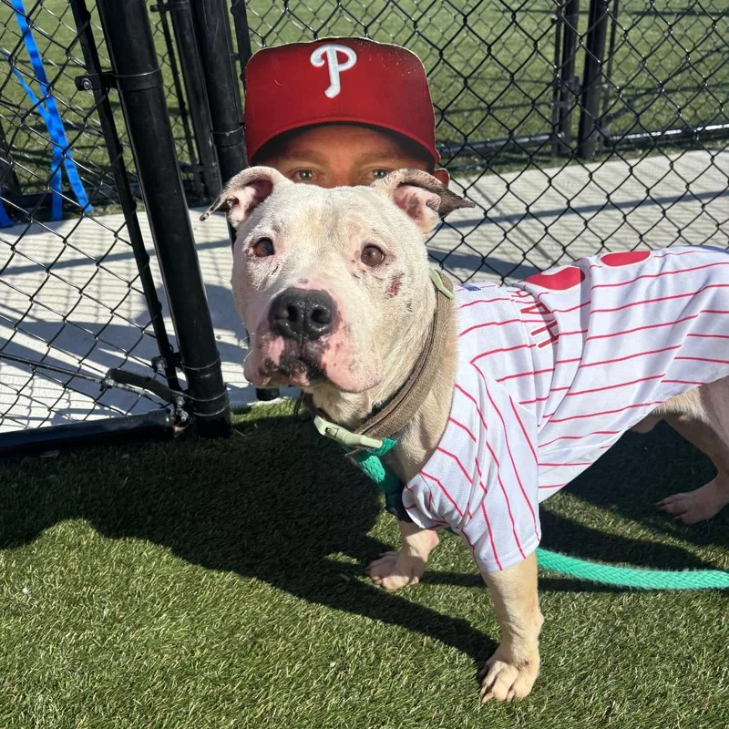 Schwarber thumbnail 6