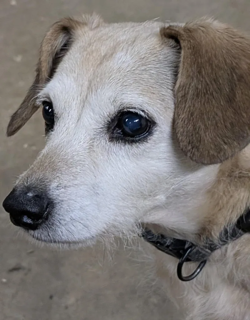 Nola And Loka thumbnail 2