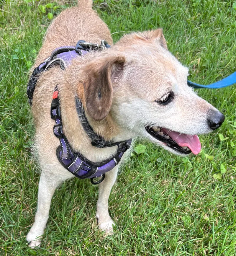 Nola And Loka thumbnail 6