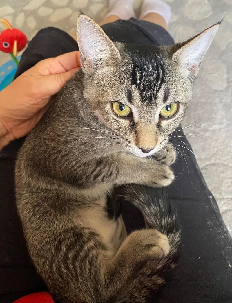 Cha Cha Cha thumbnail 4