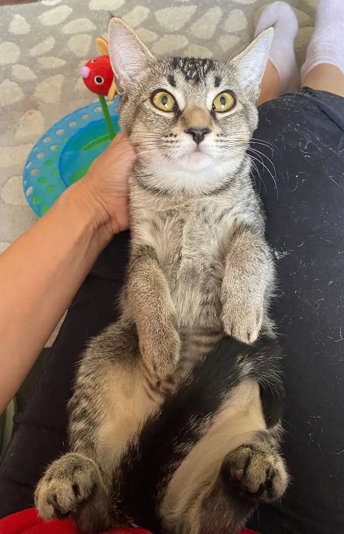 Cha Cha Cha thumbnail 5