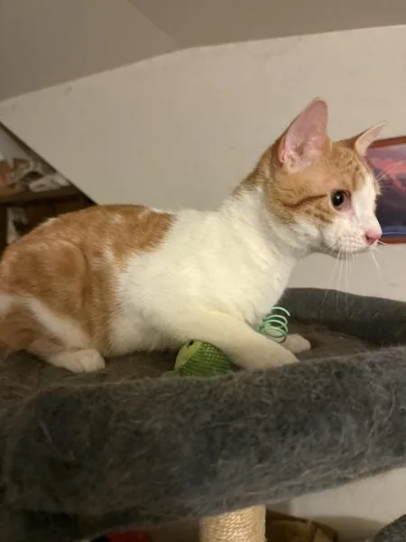 Jasper  Such A thumbnail 2