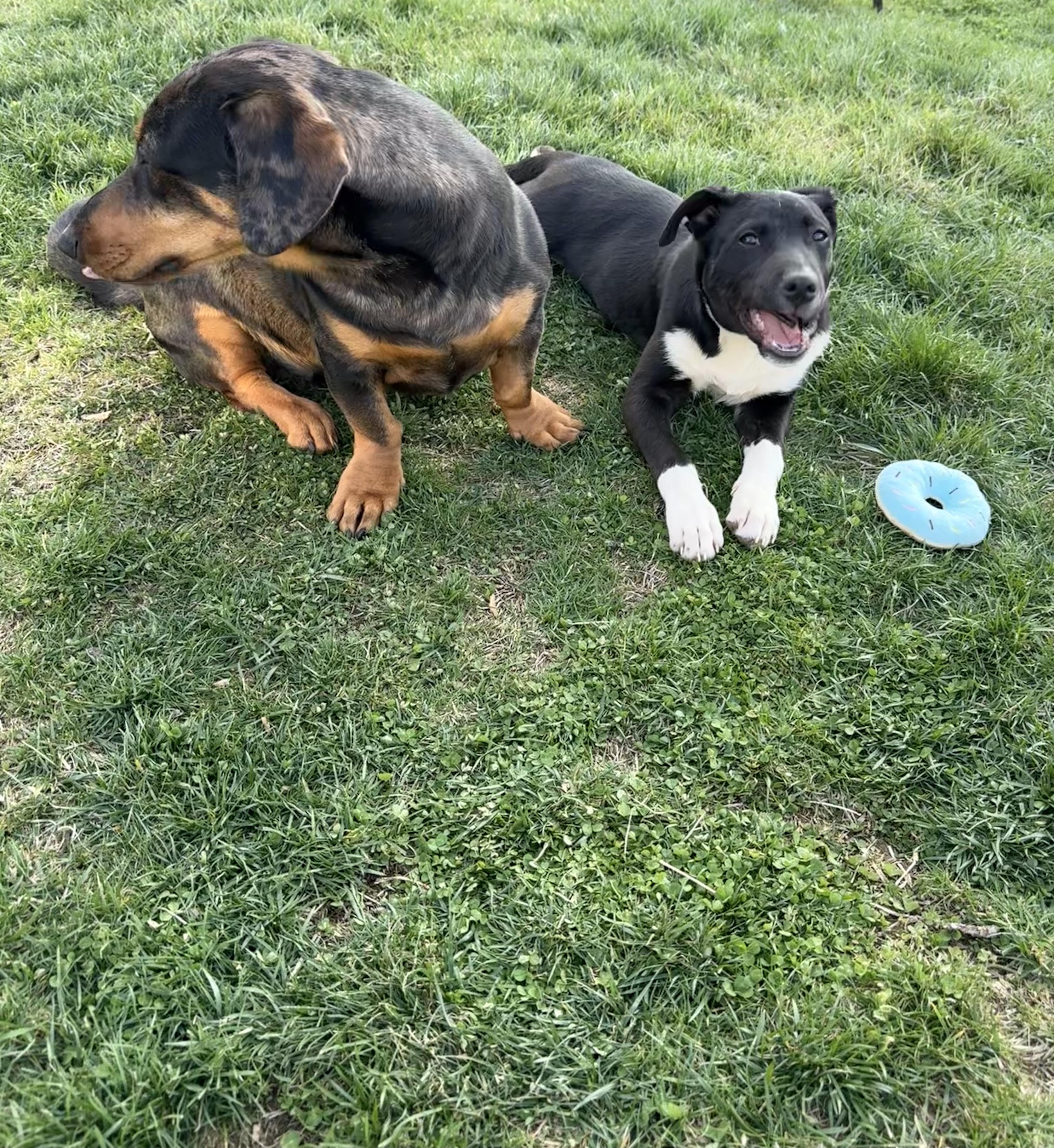 Daisy June thumbnail 2