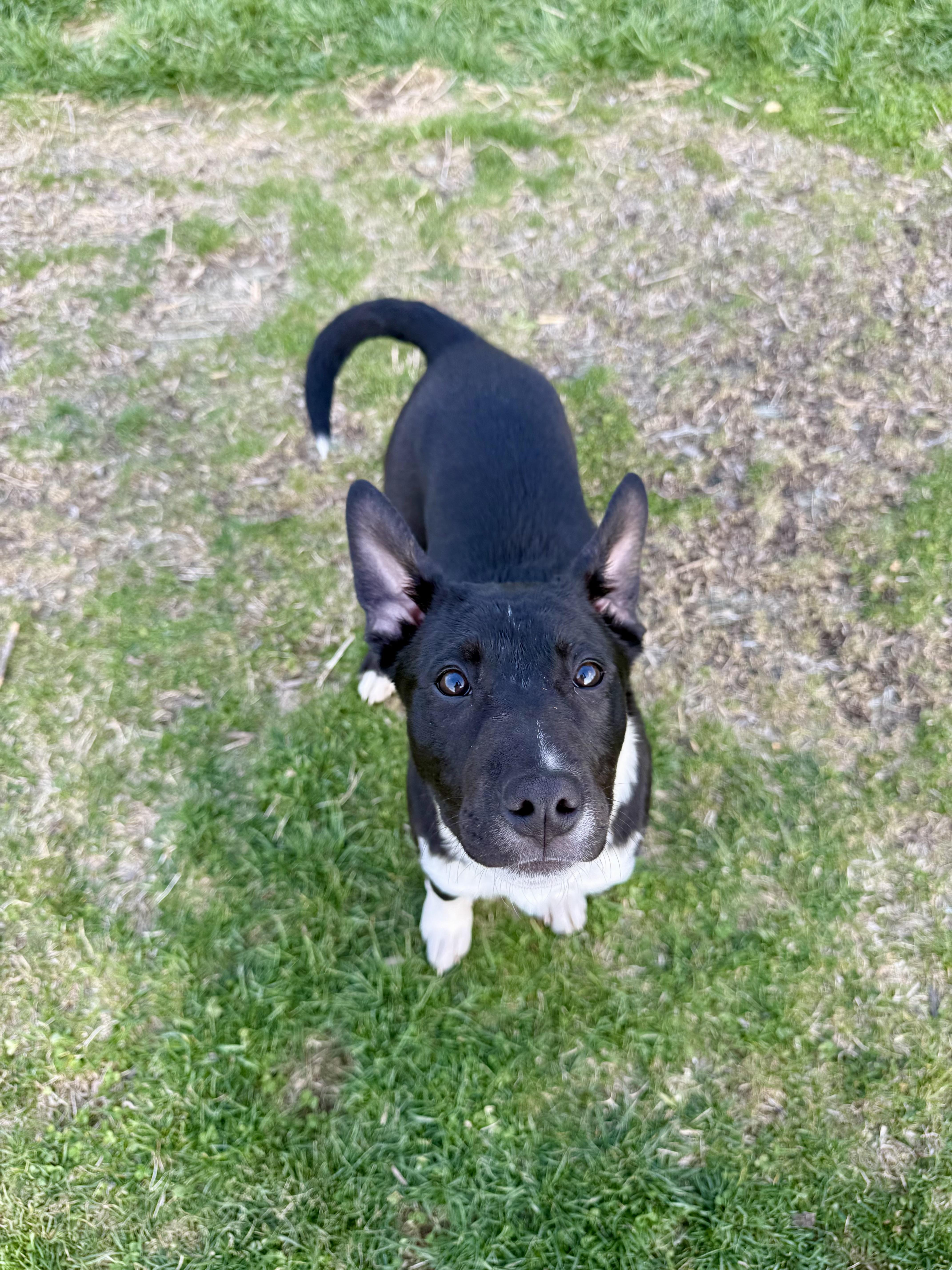 Daisy June thumbnail 3