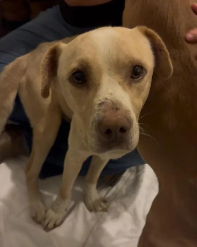 Jollyhw+ thumbnail 2