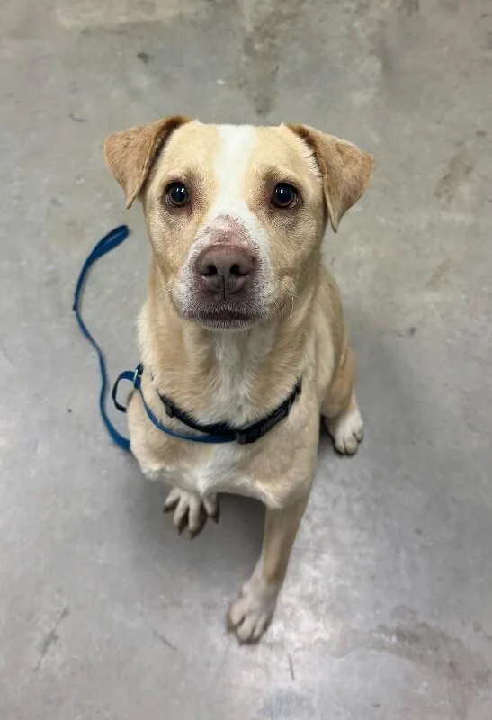 Jollyhw+ thumbnail 3