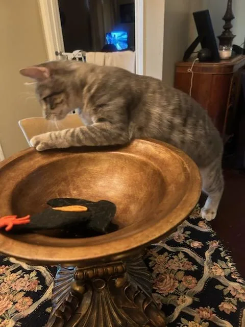 Clair De Lune thumbnail 3