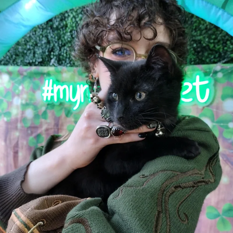 Captain Shark thumbnail 2