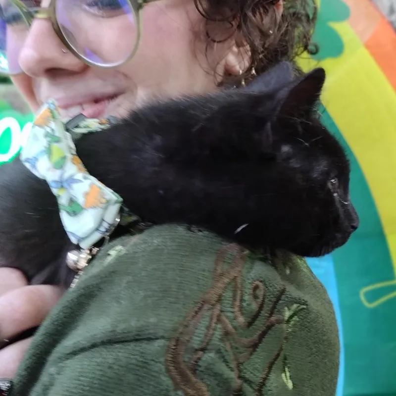 Captain Shark thumbnail 3