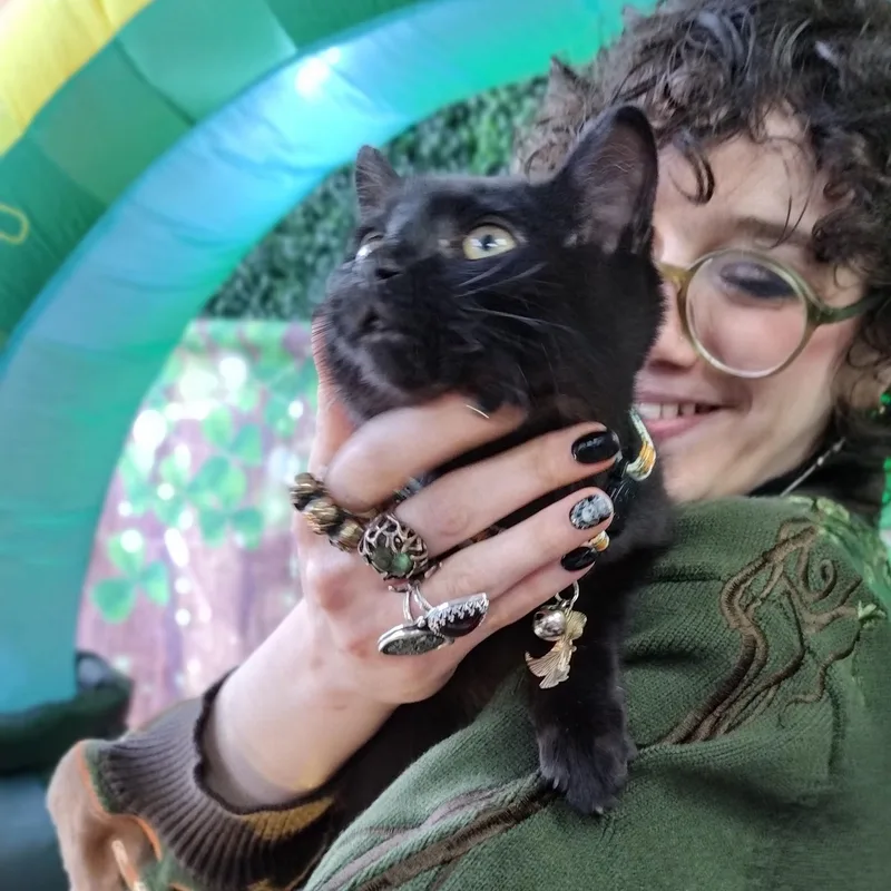 Captain Shark thumbnail 4