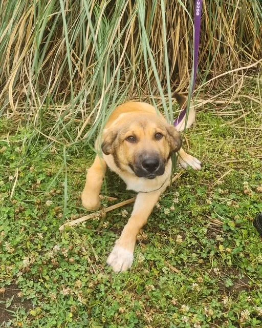 Amory