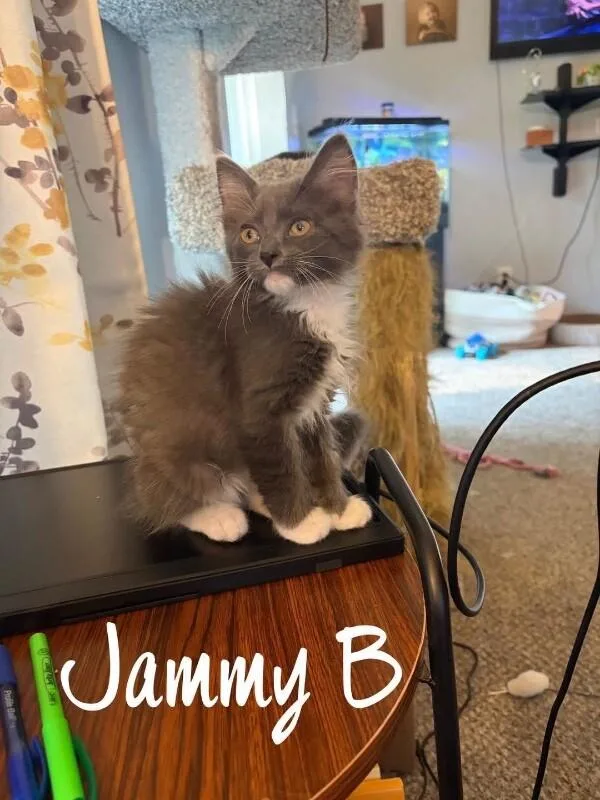 Jammy B thumbnail 2