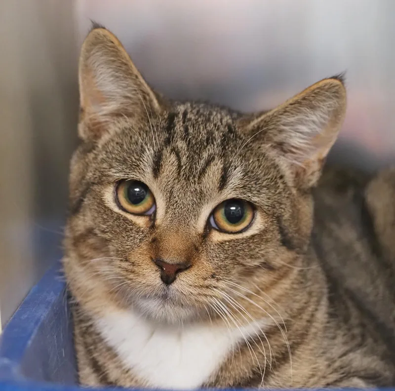 Bo And Billy thumbnail 2