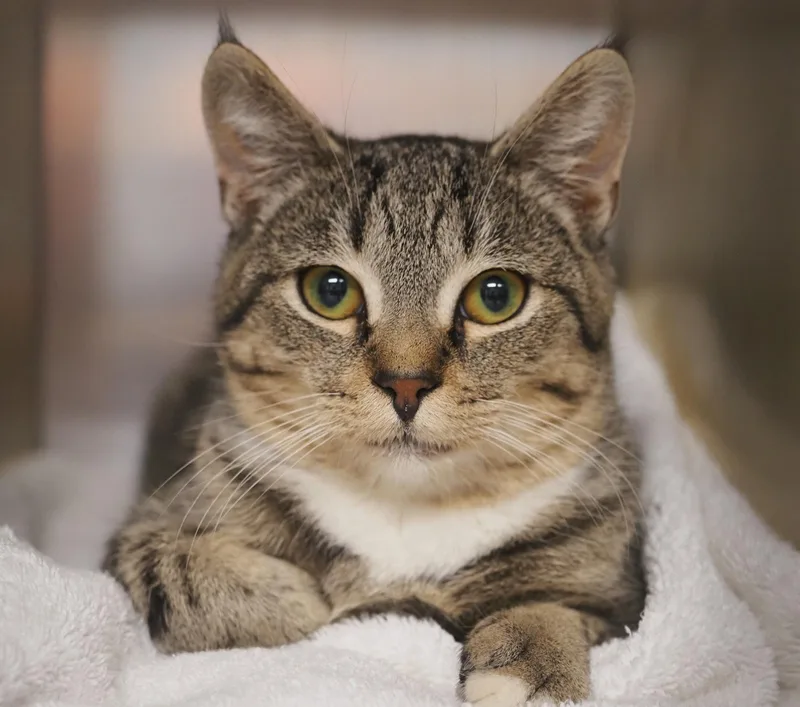 Bo And Billy thumbnail 3