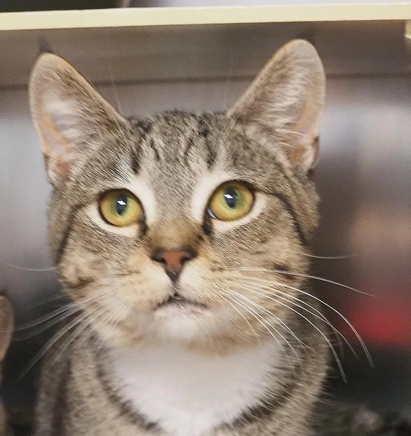 Bo And Billy thumbnail 4