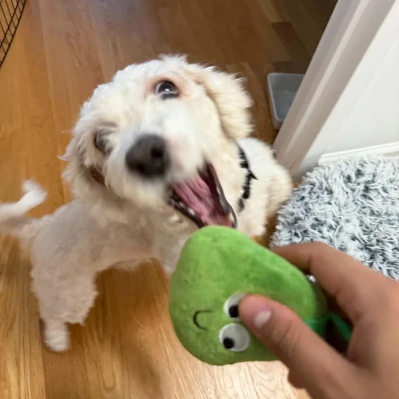 Bentley thumbnail 6